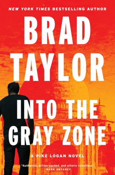 Into the gray zone by Brad Taylor